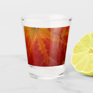 Vaso De Chupito Resumen de la hoja de arce roja Fotografía de la n