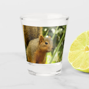 Vaso De Chupito Retrato de una fotografía animal de la naturaleza