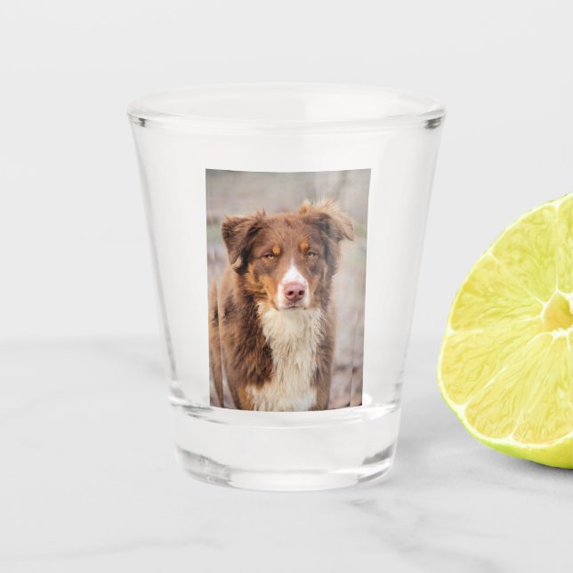 Vaso De Chupito Rojo (Anverso)