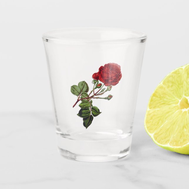 Vaso De Chupito Rosa Red Long Stem (Anverso)