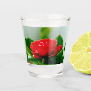 Vaso De Chupito Rosa Roja de la pasión cubierta de rocío