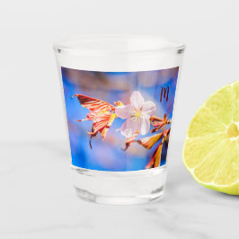 Vaso De Chupito Rosa Sakura Flower Blue Sky