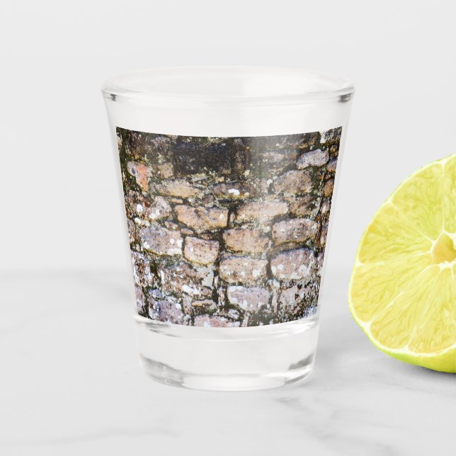 Vaso De Chupito Ruinas Mayas Pared  (Anverso)