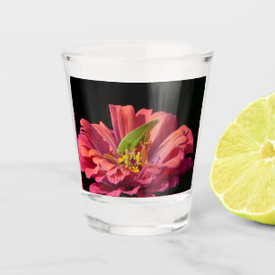 Vaso De Chupito Saltamontes en Zinnia