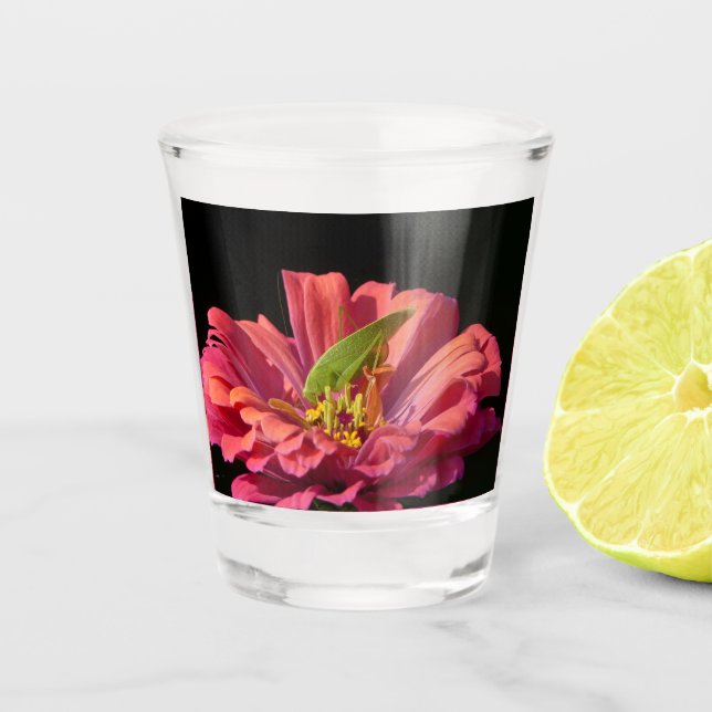 Vaso De Chupito Saltamontes en Zinnia (Anverso)