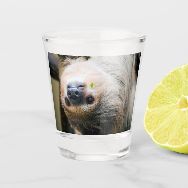 Vaso De Chupito Sloth 001 (Anverso)