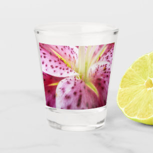 Vaso De Chupito Stargazer Lily Bright Magenta Floral