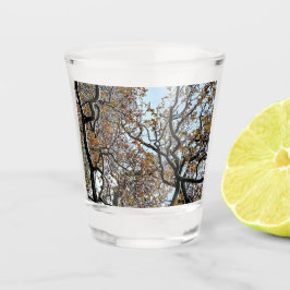 Vaso De Chupito Sucursales con hojas naranjas