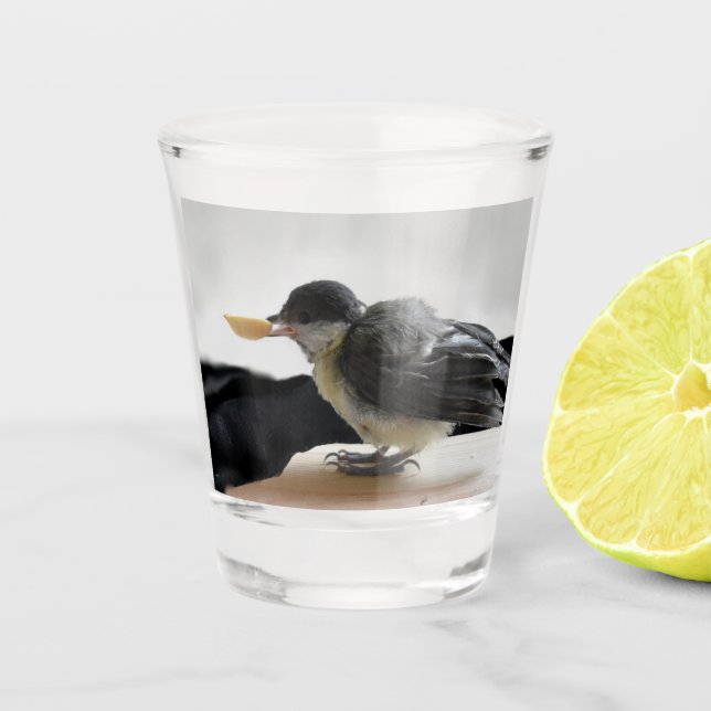 Vaso De Chupito Tidi my Bird the Parus Major (Anverso)