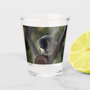 Vaso De Chupito Tidi my Bird the Parus Major