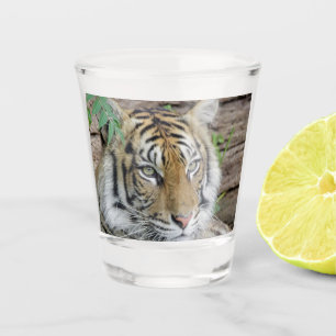 Vaso De Chupito Tiger_002