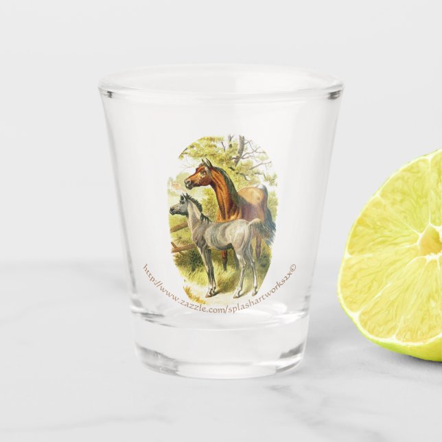 Vaso De Chupito "Tónico de caballo" (Anverso)