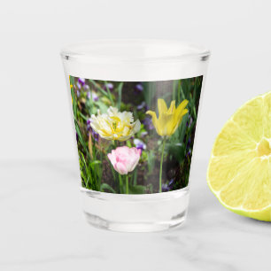 Vaso De Chupito Tulipanes blancos, rosas y amarillos en el jardín