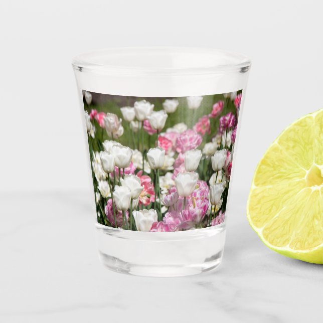 Vaso De Chupito Tulipanes blancos y rosas brillantes en un día sol (Anverso)