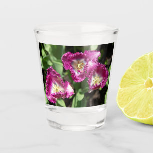 Vaso De Chupito Tulipanes morados en el jardín