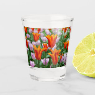 Vaso De Chupito Tulipanes naranjas brillantes en el parque