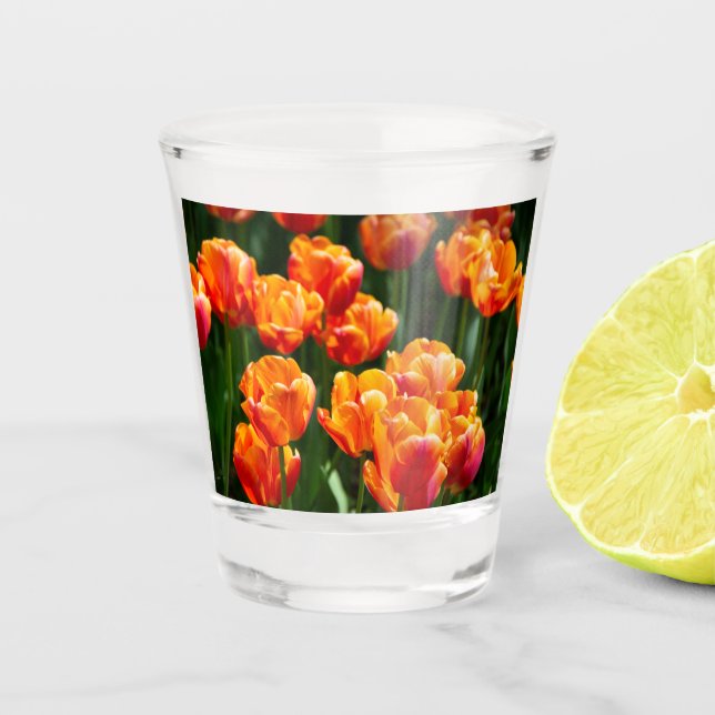 Vaso De Chupito Tulipanes naranjas brillantes en el parque (Anverso)