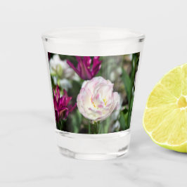 Vaso De Chupito Tulipanes rosa brillante en un día soleado