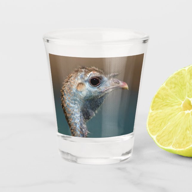 Vaso De Chupito Turquía salvaje (Anverso)