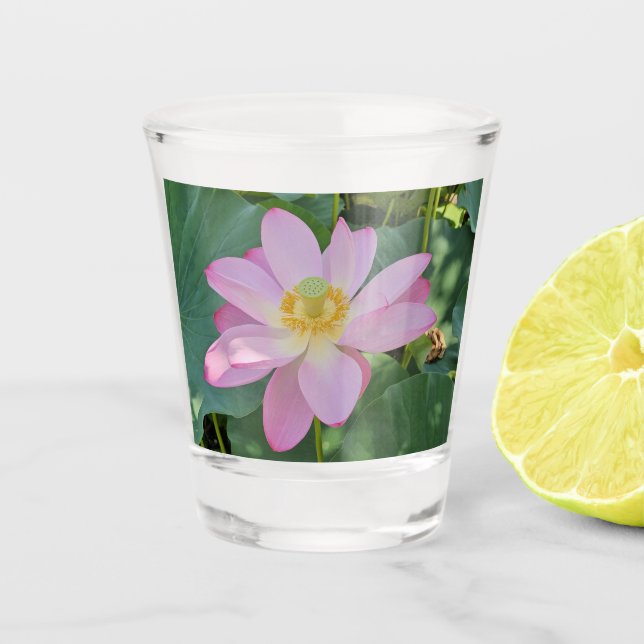 Vaso De Chupito Una flor de loto vibrante (Anverso)