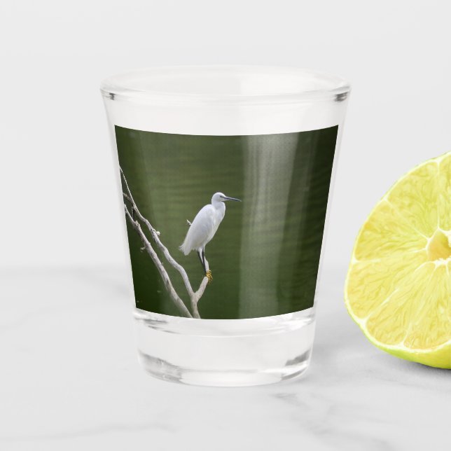Vaso De Chupito Verre aigrette garzette (Anverso)