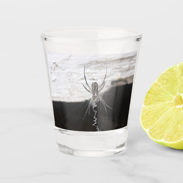 Vaso De Chupito Vidrio araña (Anverso)