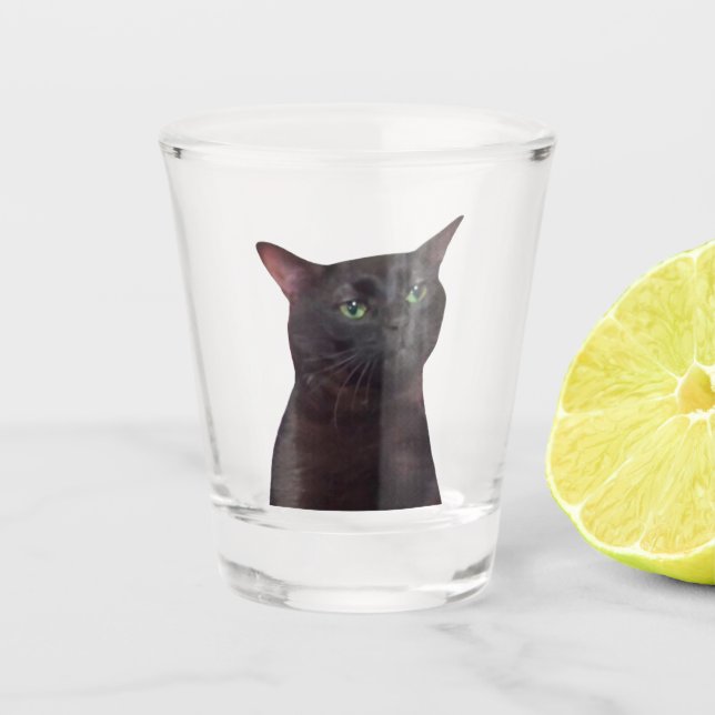 Vaso De Chupito Vidrio caliente Zoneado Meme de gato (Anverso)