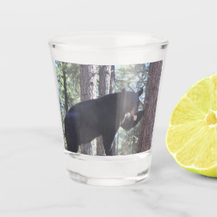 Vaso De Chupito Vidrio de disparo del oso negro