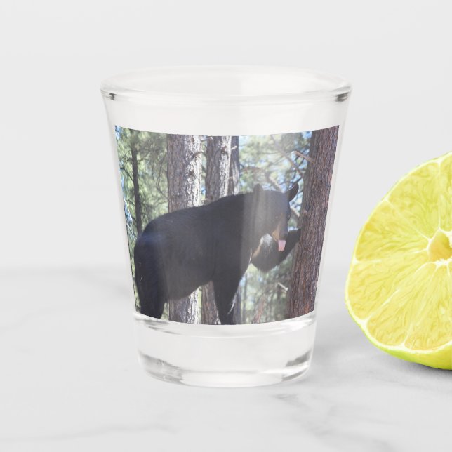 Vaso De Chupito Vidrio de disparo del oso negro (Anverso)