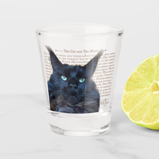 Vaso De Chupito Vidrio de disparo - gato negro Maine Coon (Anverso)