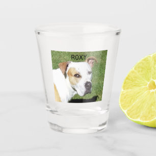 Vaso De Chupito Vidrio de Personalizado con foto de querido mascot