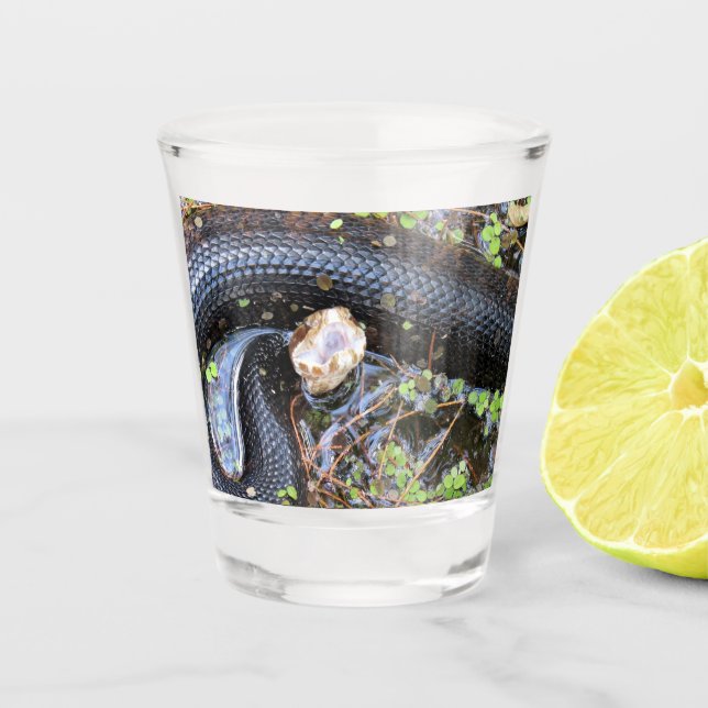 Vaso De Chupito Vidrio de serpiente de algodón (Anverso)