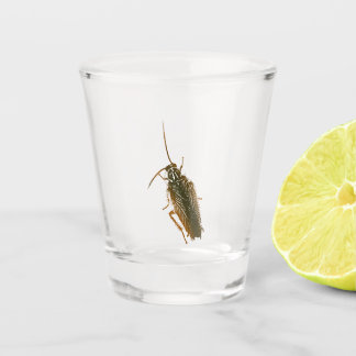 Vaso De Chupito Vidrio de tiro de garrapata