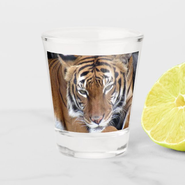 Vaso De Chupito Vidrio Tiger Shot (Anverso)