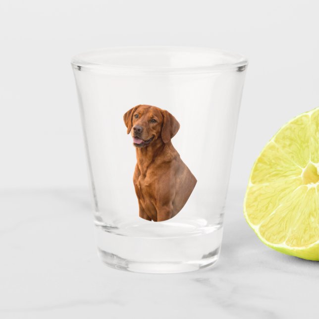 Vaso De Chupito Vizsla Shot Glass (Anverso)