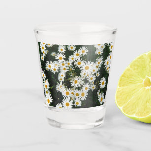 Vaso De Chupito White Oxeye Daisy, Moon Daisy Meadow