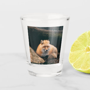 Vaso De Chupito Zorro Rojo Dormiendo