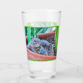 Vaso de cristal de la bebida de la ardilla de