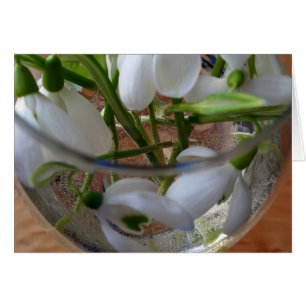 vaso de gotas de nieve