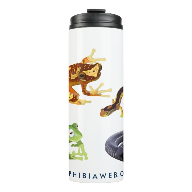 Vaso de la galería de Amphibiaweb (Anverso)