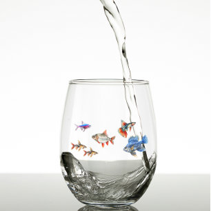 Vaso De Vino Acuario Cute Funny de Pescado Tropical