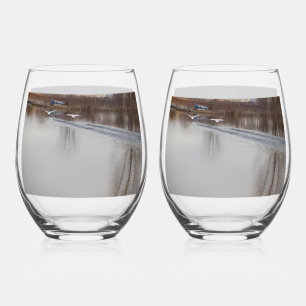 Vaso De Vino Cisnes blancos en lentes de vino al atardecer