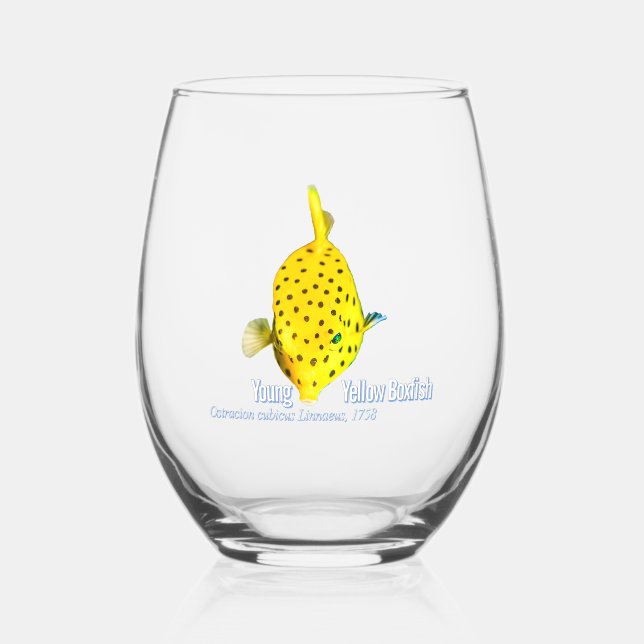 Vaso De Vino Joven Boxfish (Anverso)
