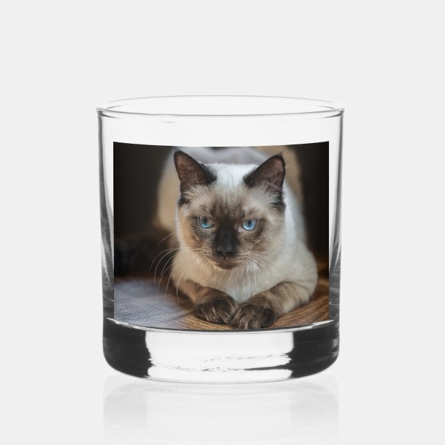 Vaso De Whiskey Foto de Mascota de gato personalizado (Anverso)