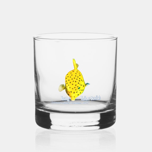Vaso De Whiskey Joven pez caja amarillo (Anverso)