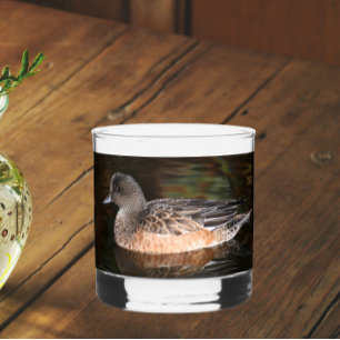 Vaso De Whiskey La cirujana norteamericana Duck Hen en un estanque