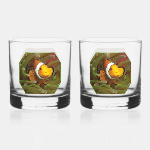 Vaso De Whiskey Marisco con anémona verde. Diseño fotográfico  