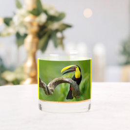 Vaso De Whiskey Toucan sentado en la rama del bosque