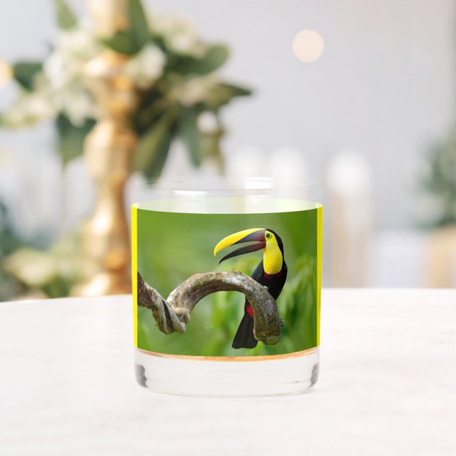 Vaso De Whiskey Toucan sentado en la rama del bosque (Insitu (Boda))