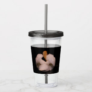 Vaso del acrílico del cisne de Maui